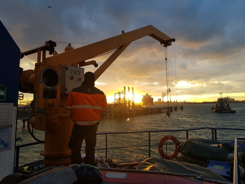 Davit inspection