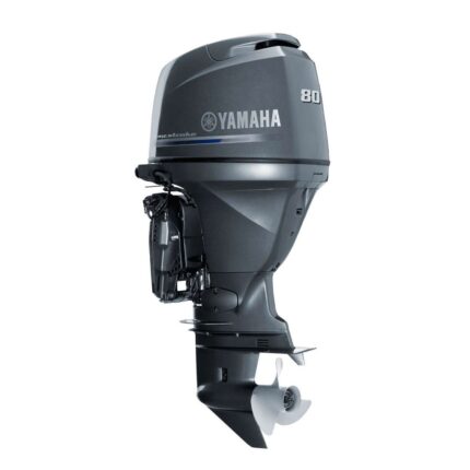 F80D 4-stroke outboard engine